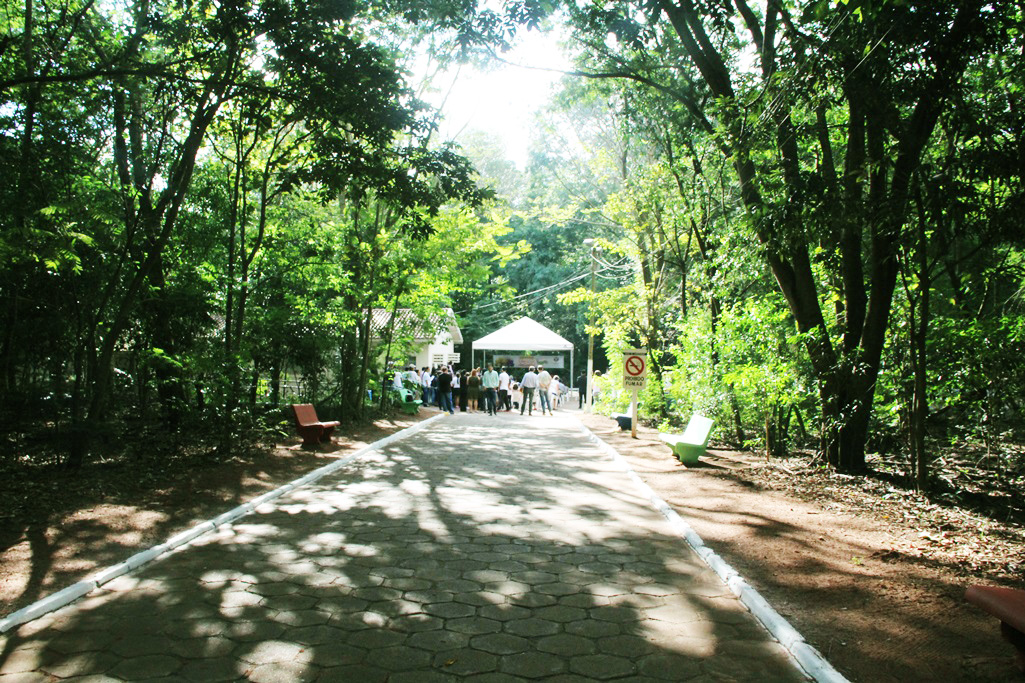 Naviraí é classificada entre três municípios do Brasil para adquirir o Plano de Coleta Seletiva