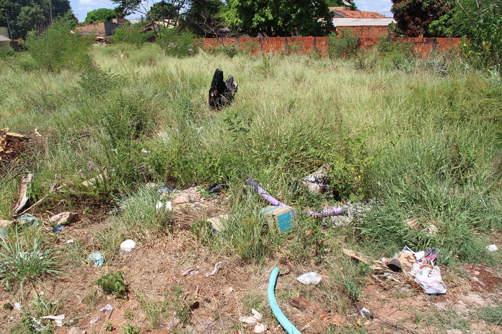 Coordenação de Vigilância Epidemiológica alerta sobre dengue em Naviraí