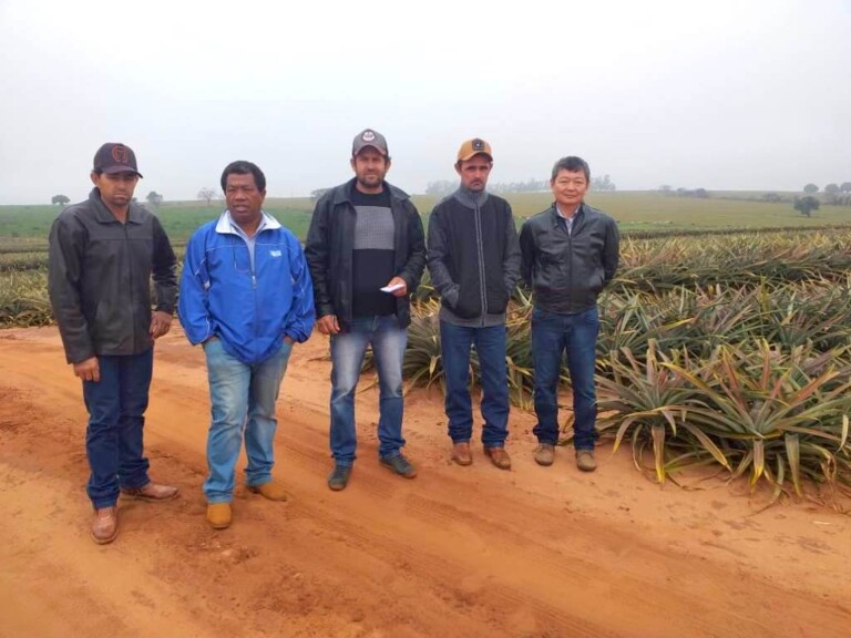 Prefeitura de Naviraí leva Grupo de Produtores do Assentamento Jucal para conhecer cultura de abacaxi no PR