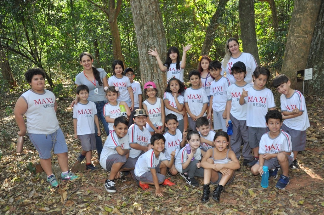 Gerência de Meio ambiente e alunos do Max Reino realizaram atividade no dia da árvore