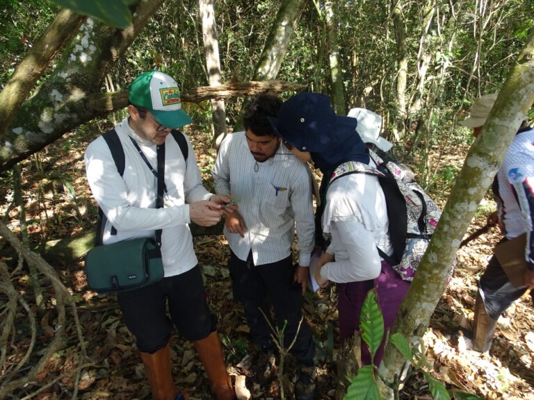 Parque Natural Municipal de Naviraí recebe Expedição Botânica da UFMS