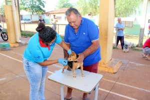 Foto: Campanha de vacinação antirrábica atingiu 87 por cento dos animais no município, 2019 - André Almeida/Assessoria de Imprensa