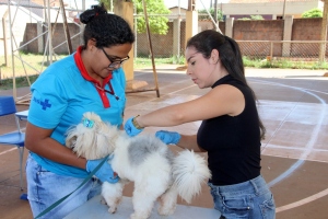Foto: Campanha de vacinação antirrábica atingiu 87 por cento dos animais no município, 2019 - André Almeida/Assessoria de Imprensa