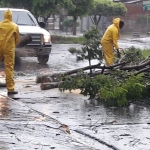 Imagem: Gerência de Serviços Urbanos trabalha para reparar danos causados pela chuva, 2020 - Assessoria de Imprensa