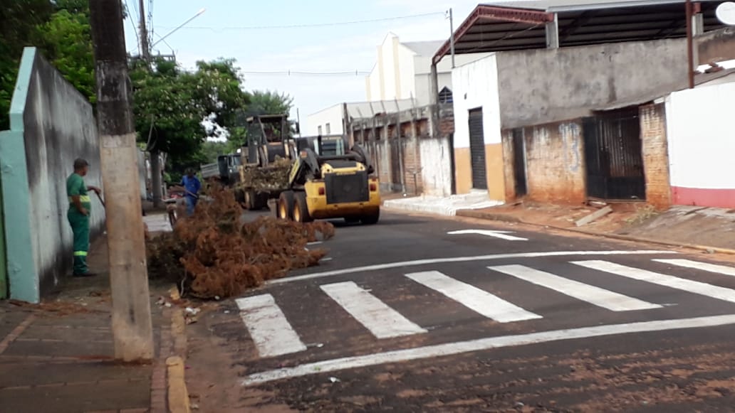Mutirão de limpeza finaliza hoje os trabalhos no Ipê e vizinhos