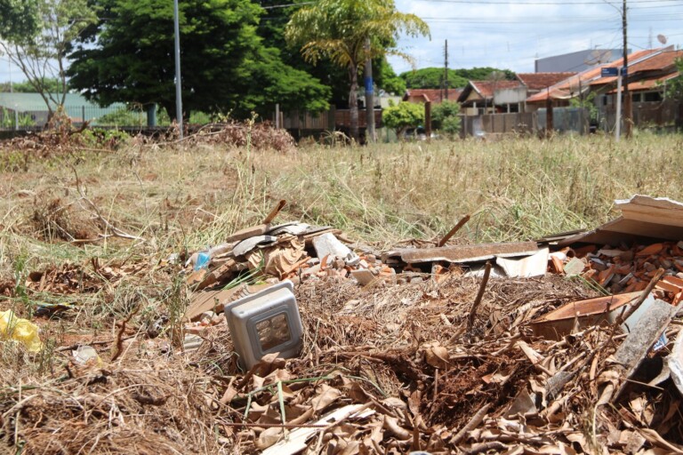 Proprietários de terrenos baldios tem 15 dias para efetuarem a limpeza de seus terrenos sob pena de multa