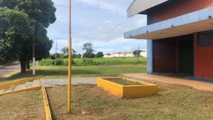 Imagem: Prefeitura de Naviraí executa limpeza geral dos canteiros de avenidas, 2021 - Assessoria de Imprensa