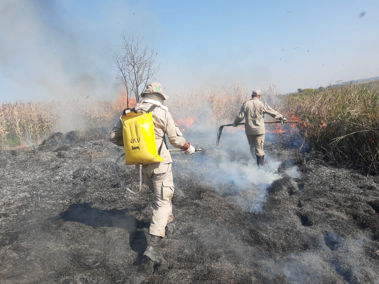 Prefeitura prepara campanha de conscientização “Naviraí Sem Cinzas”