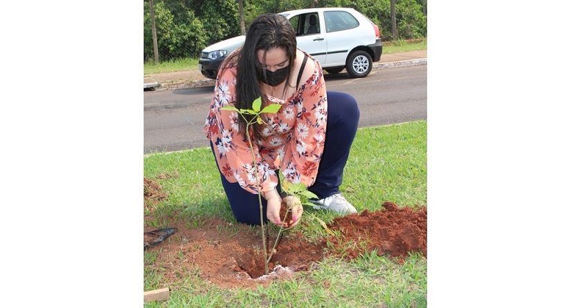 Rhaiza Matos planta Ipê-rosa em comemoração ao Dia da Árvore Rhaiza Matos planta Ipê-rosa em comemoração ao Dia da Árvore