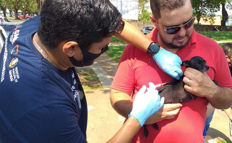 Vigilância Sanitária de Naviraí prossegue a vacinação antirrábica no próximo sábado