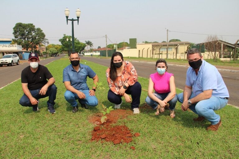 Governo de Naviraí planta Ipê-rosa em comemoração ao Dia da Árvore