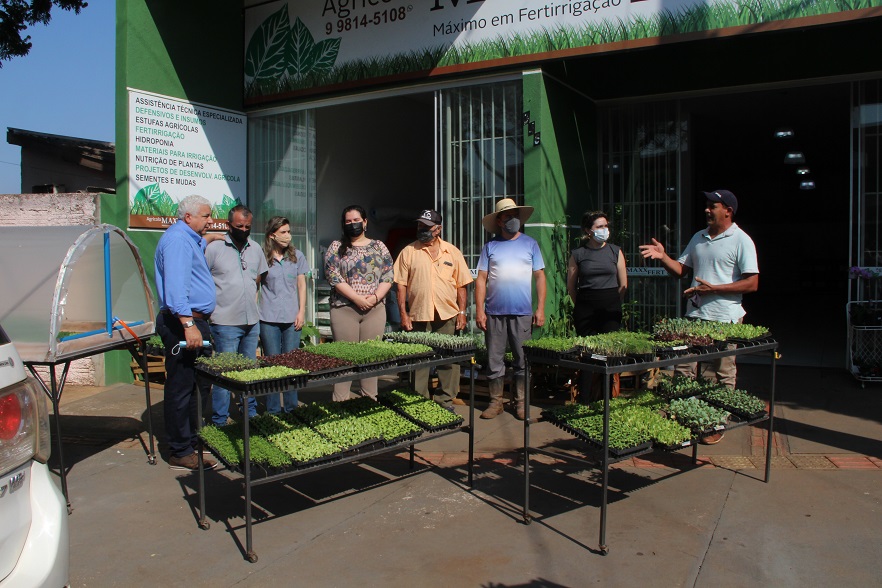 Imagem: Prefeitura de Naviraí doa 117 mil mudas de hortaliças a 20 agricultores familiares, 2021 - Assessoria de Imprensa