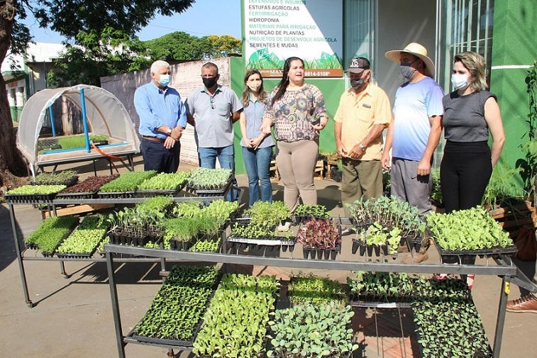 Prefeitura de Naviraí doa 117 mil mudas de hortaliças a 20 agricultores familiares