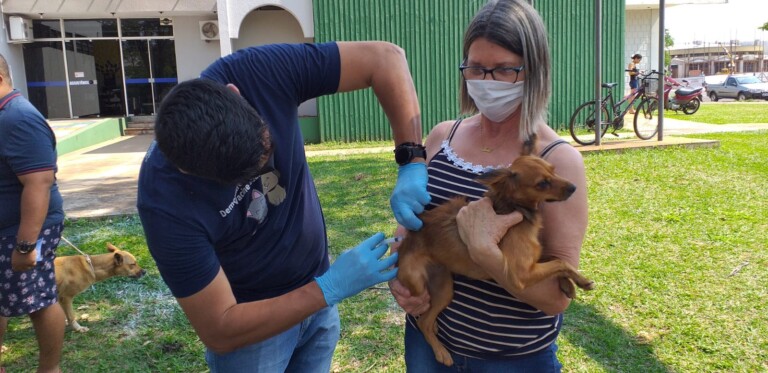 Vigilância Sanitária vacinou 7.230 cães e gatos; campanha antirrábica continua