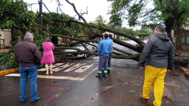 Tempestade provocou estragos e danos em órgãos da Prefeitura de Naviraí