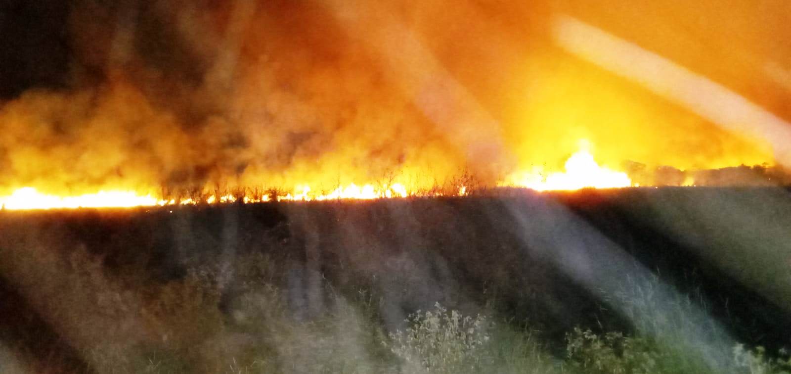 Prefeitura e Bombeiros combatem incêndio no Parque Natural Municipal de Naviraí
