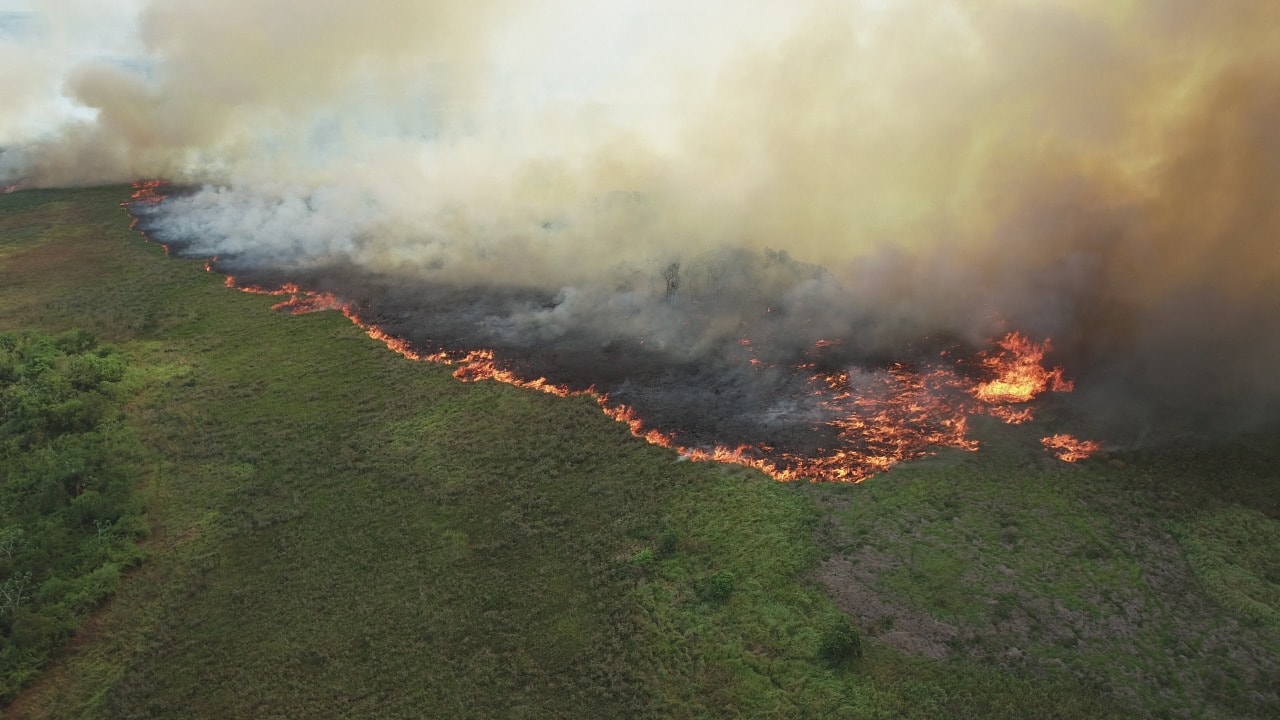 imagem: Força-tarefa controla incêndio florestal nas Unidades de Conservação de Naviraí, 2022 - Assessoria de Imprensa