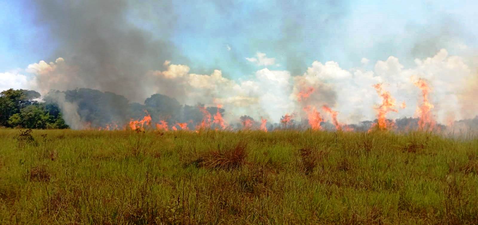 imagem: Prefeitura e Bombeiros combatem incêndio no Parque Natural Municipal de Naviraí, 2022 - Assessoria de Imprensa