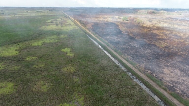 Força-tarefa controla incêndio florestal nas Unidades de Conservação de Naviraí
