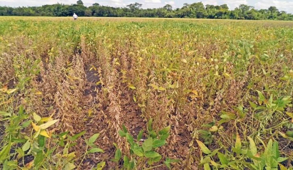 Situação de emergência em Naviraí é reconhecida pelo Governo Federal