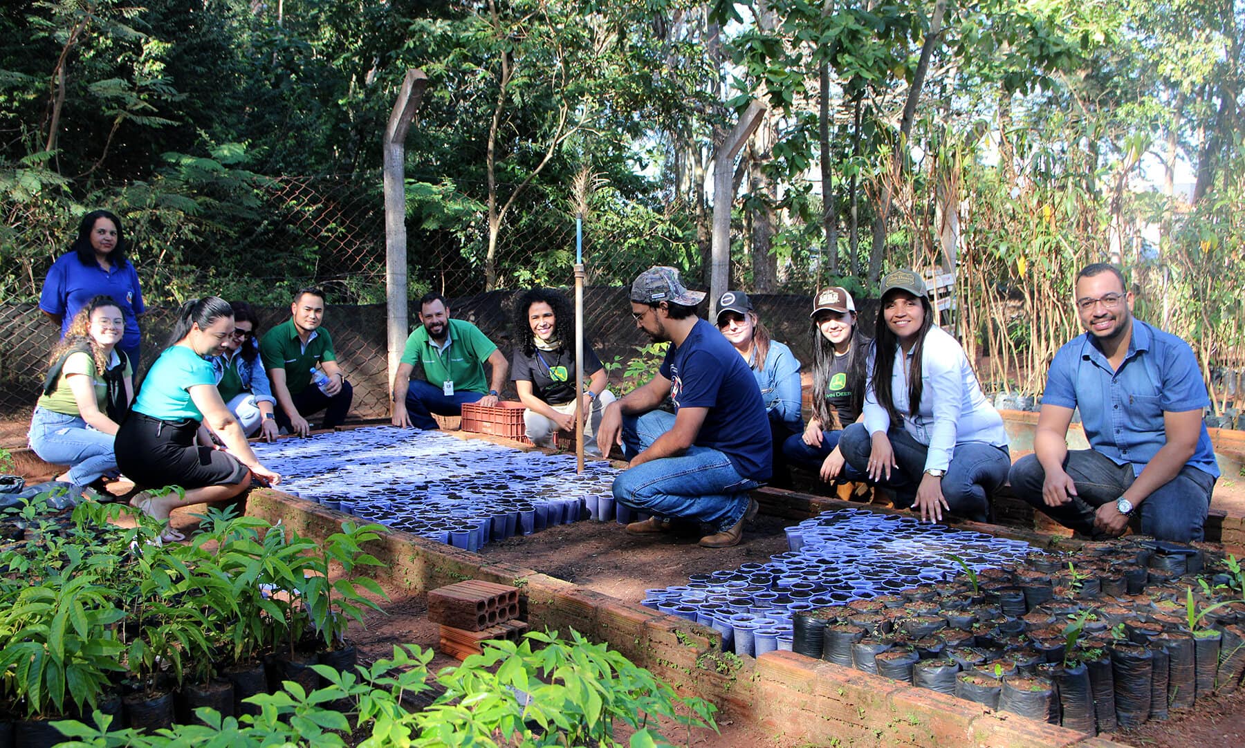 Parceria entre Prefeitura de Naviraí e Ciarama produz 4 mil mudas de ipê