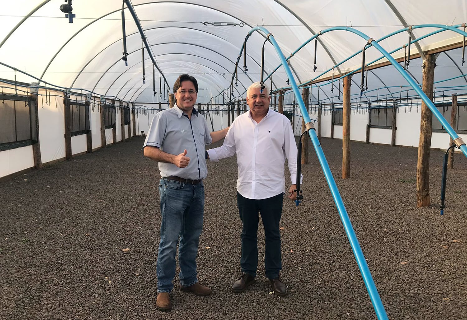 Reflorestadora local requer apoio da Prefeitura de Naviraí para projeto de expansão