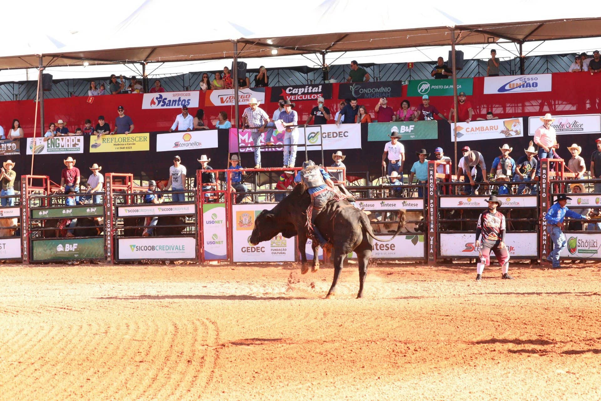 Peão de Angélica vence o Rodeio em Touros da 28ª Exposição Agropecuária de  Naviraí