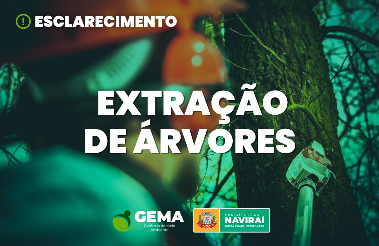 Gerência de Meio Ambiente da Prefeitura de Naviraí esclarece dúvidas sobre extração de árvores