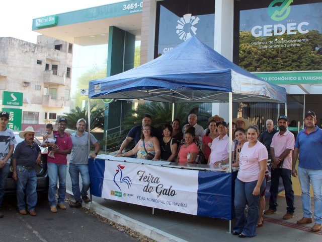 Feirantes se preparam para a Feira do Galo que será lançada pela Prefeitura de Naviraí