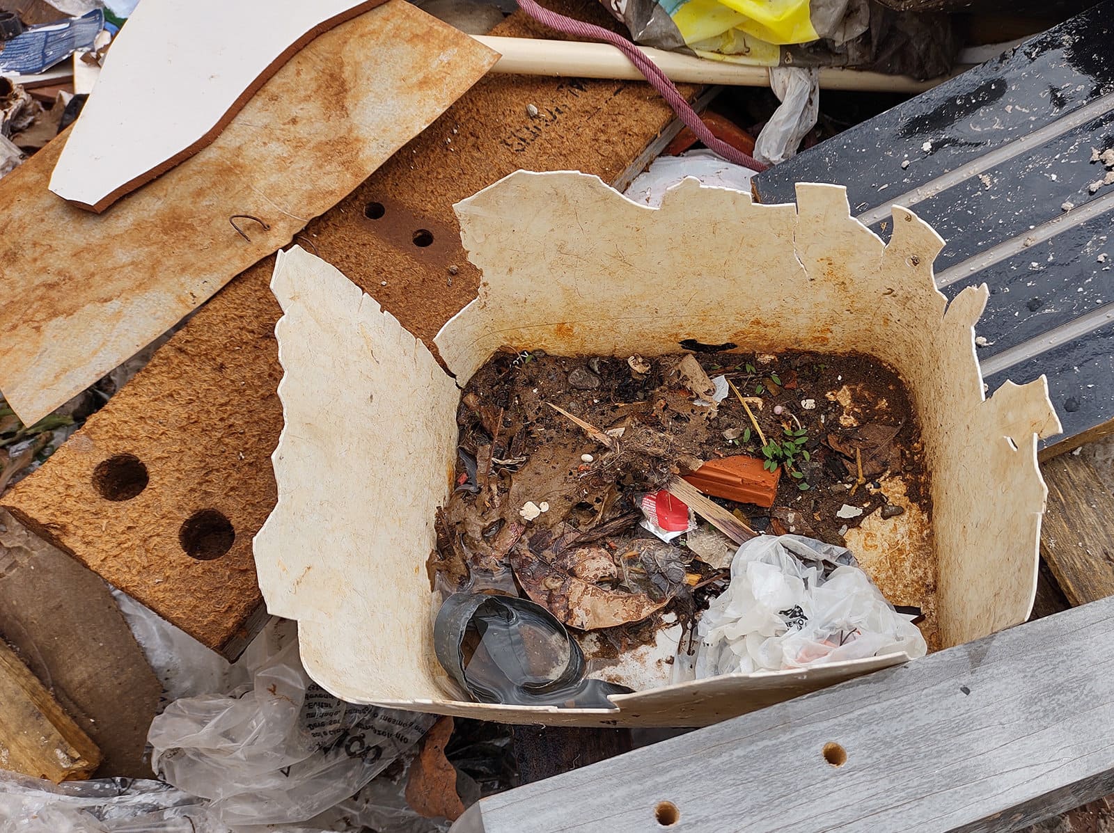 Período chuvoso e altas temperaturas requer cuidado redobrado para eliminar criadouros do mosquito Aedes