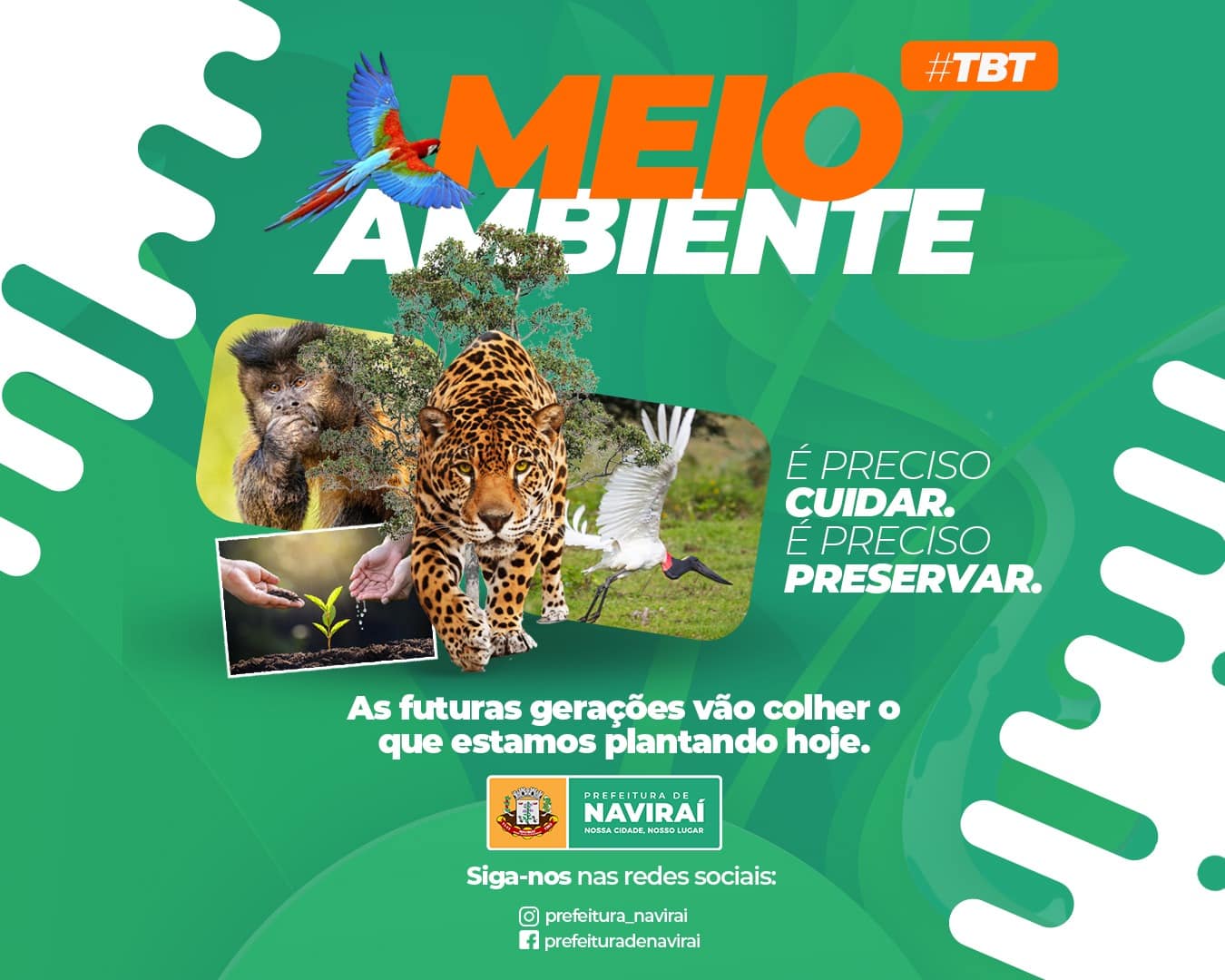 #TBT – É preciso cuidar. É preciso preservar. As futuras gerações vão colher o que estamos plantando hoje
