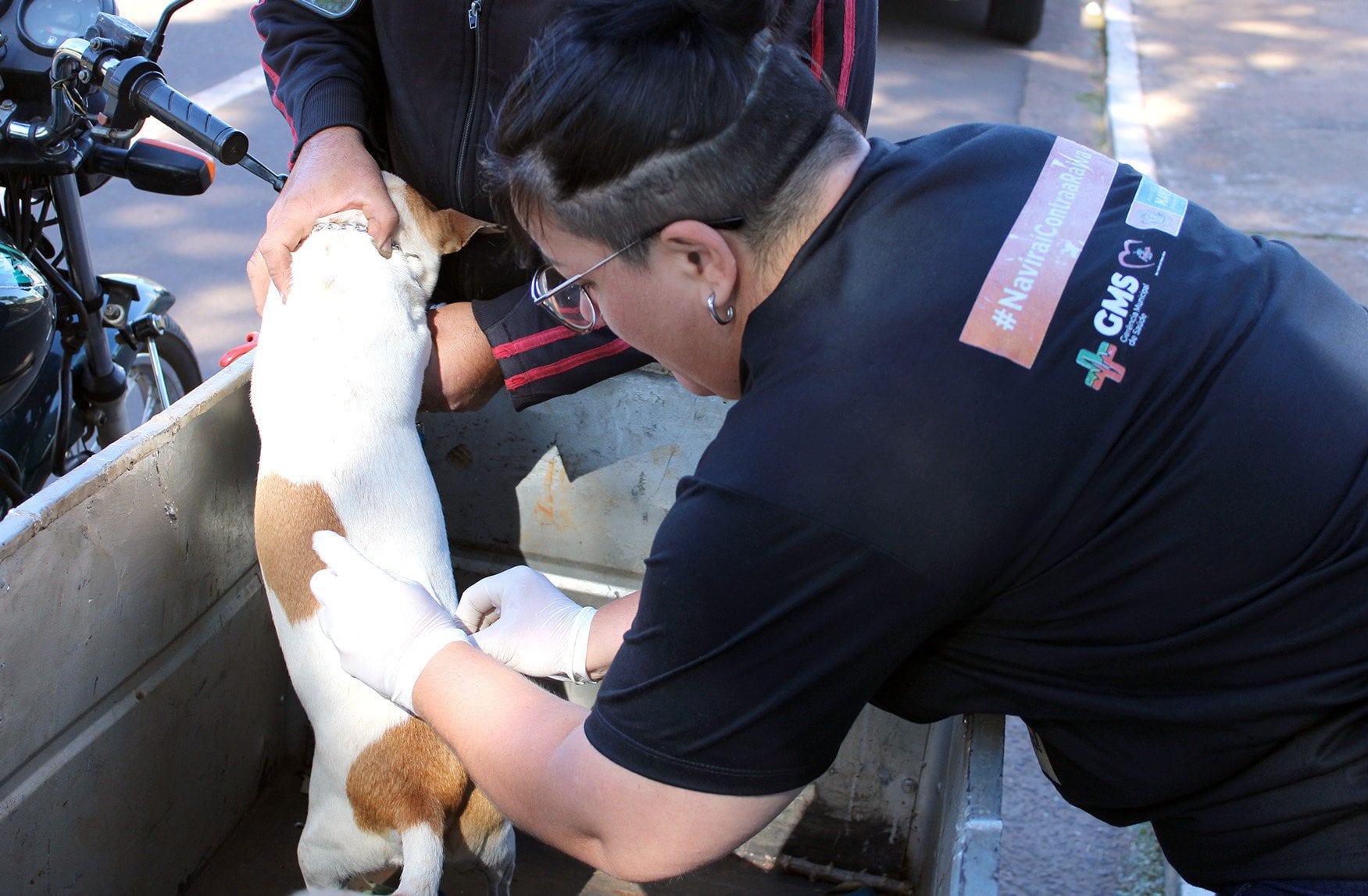 Vigilância Sanitária da Prefeitura de Naviraí inicia Campanha de Vacinação Antirrábica no dia 14 de agosto