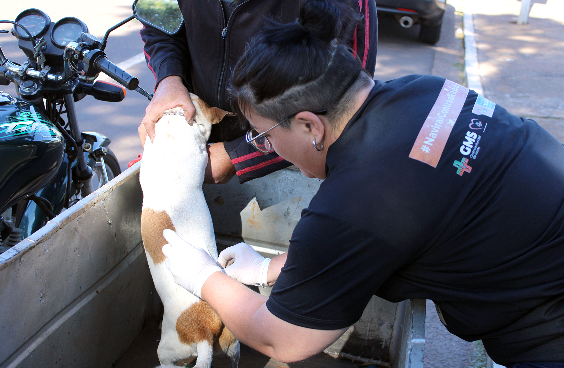 Prefeitura de Naviraí fará Campanha de Vacinação Antirrábica nos dias 16 e 23 de setembro