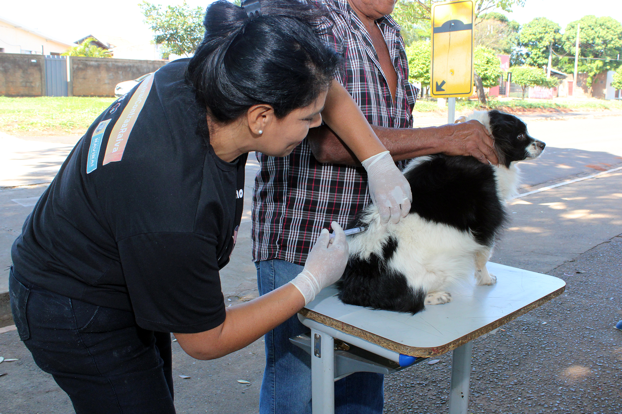 Campanha de Vacinação Antirrábica em Naviraí terá prosseguimento no próximo sábado, dia 23