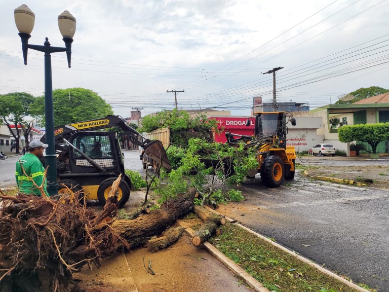 Equipes da Prefeitura de Naviraí atuaram na remoção de árvores que caíram durante vendaval
