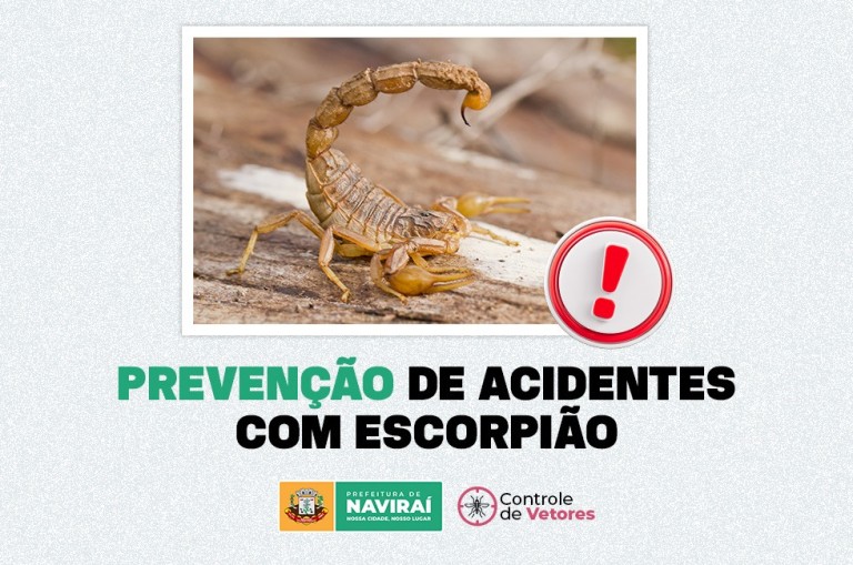 Prefeitura de Naviraí alerta sobre a importância da prevenção de acidentes com escorpião