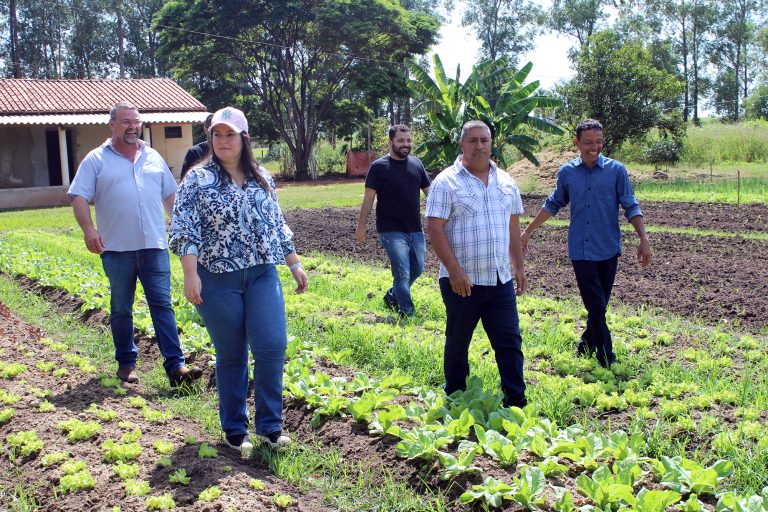 Prefeitura de Naviraí leva melhorias de infraestrutura ao Cinturão Verde e fortalece a agricultura familiar