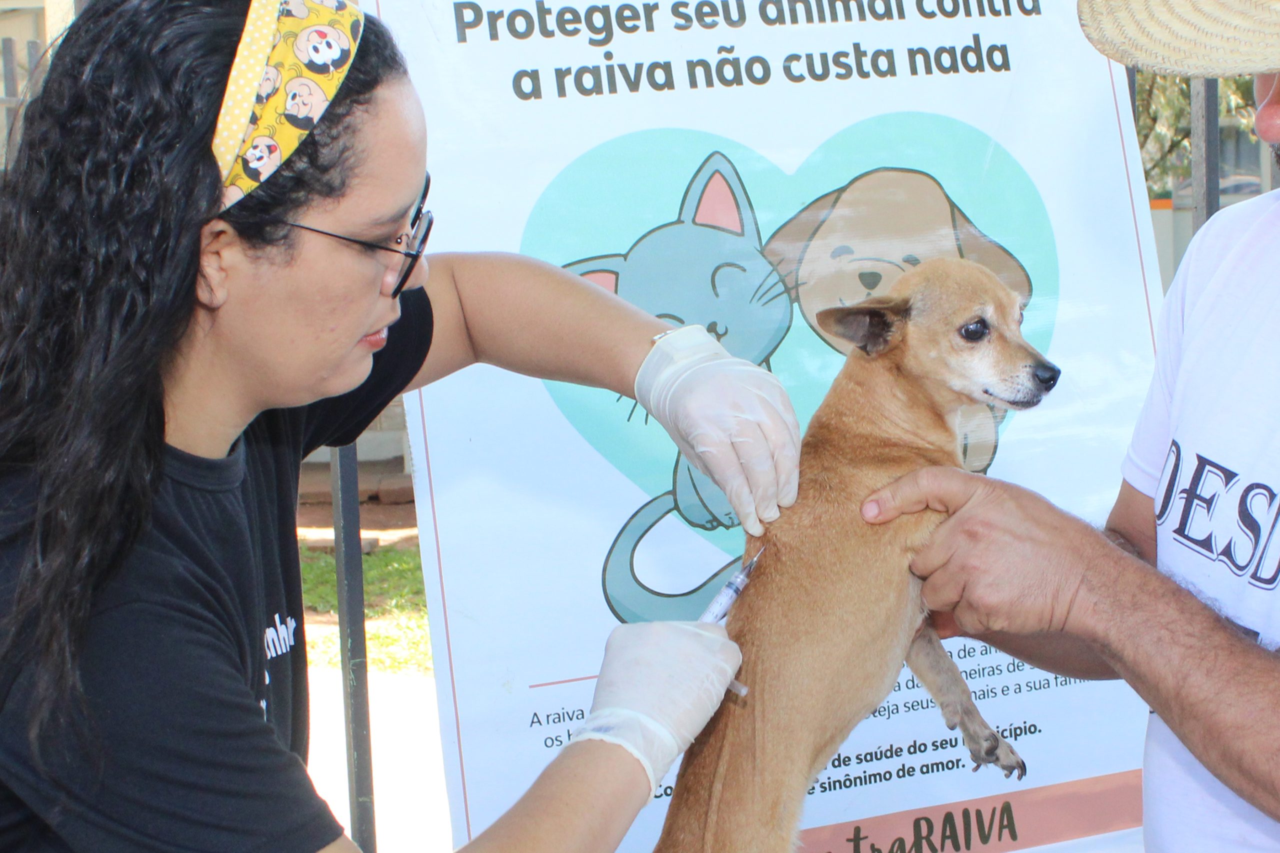 Prefeitura de Naviraí realiza Campanha Antirrábica nos dias 09 e 23 de novembro