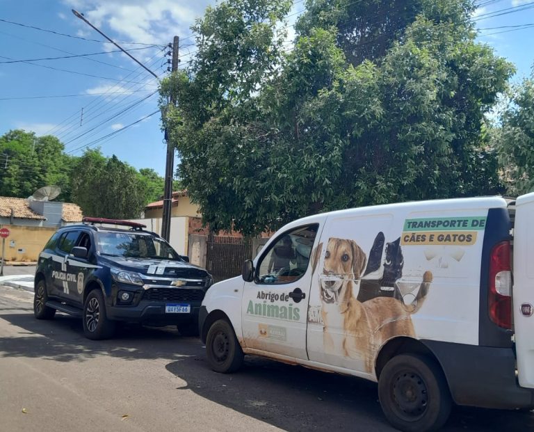 Vigilância em Saúde resgata animal de estimação após denúncia de maus-tratos