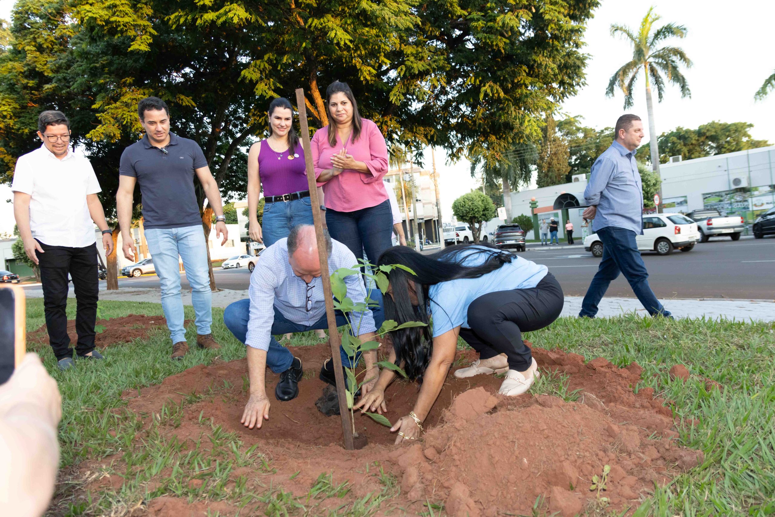 Autoridades plantam ipês-rosas na Praça Euclides Fabris, árvore símbolo do município de Naviraí