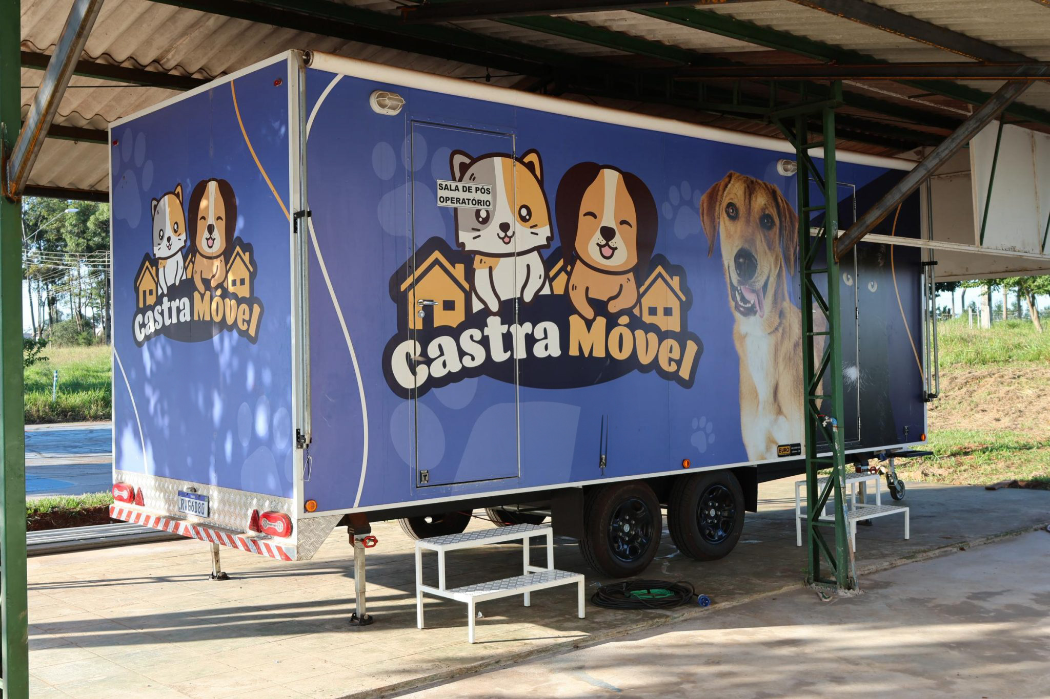 VISA de Naviraí mantém atendimentos de denúncias de maus tratos a cães e gatos e castrações
