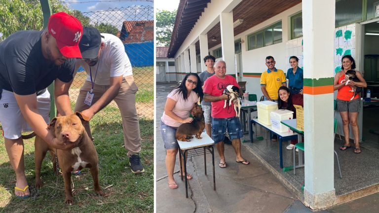 Naviraí realiza Dia D de Vacinação contra a Raiva e imuniza mais de 7 mil animais Naviraí realiza Dia D de Vacinação contra a Raiva e imuniza mais de 7 mil animais