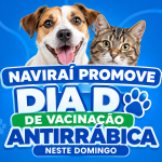 Prefeitura de Naviraí