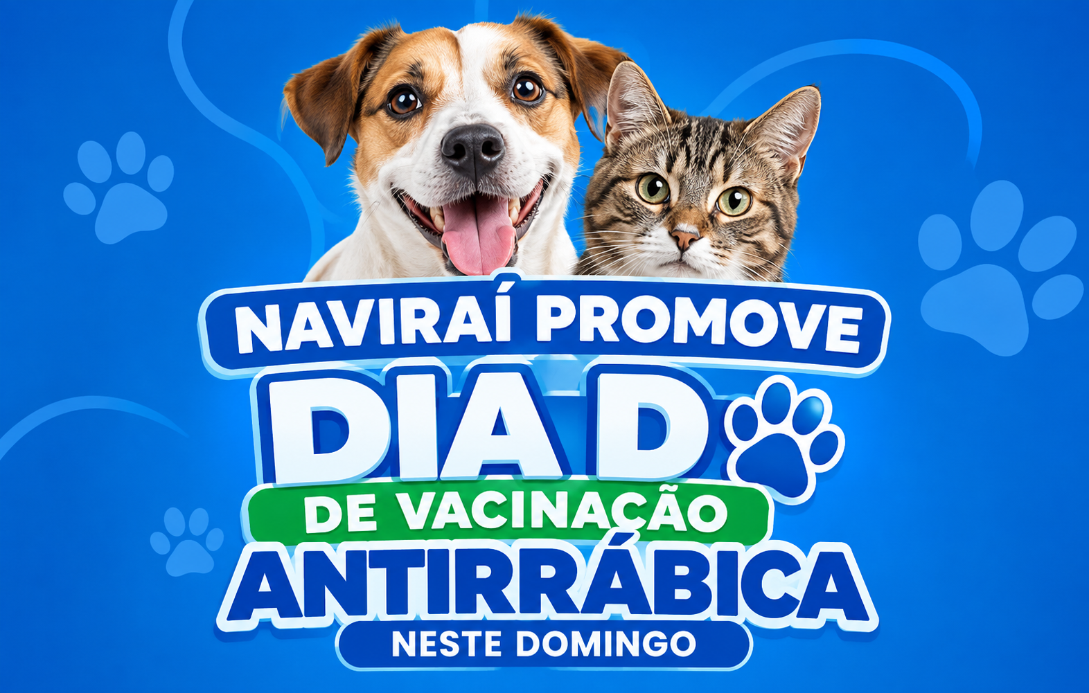 Naviraí promove Dia D de vacinação antirrábica neste domingo